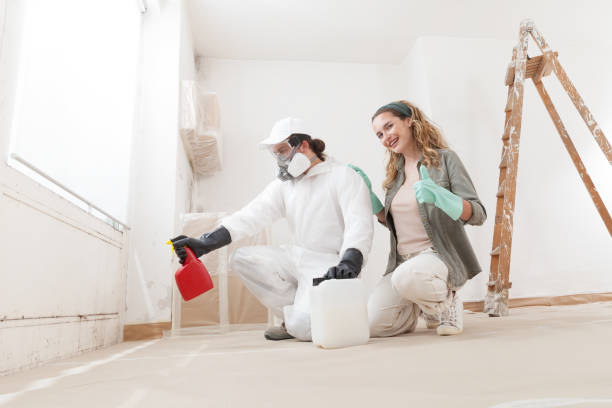 Best Mold-Related Health Consultation  in Pine Knot, KY