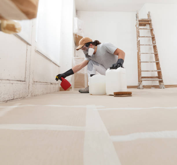 Mold Remediation for Rental Properties in Pine Knot, KY